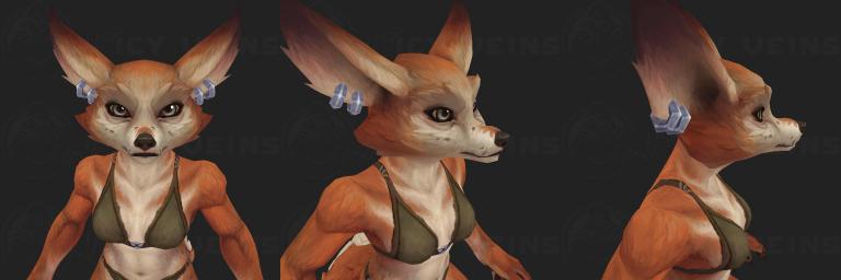 snout 3.jpg